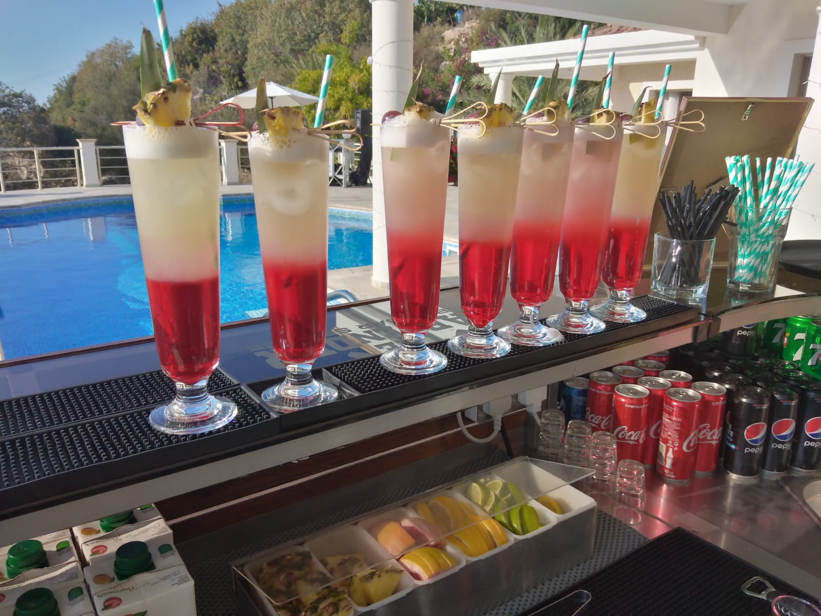 The Bartender Cyprus mobile bar service - wedding and event photo 24